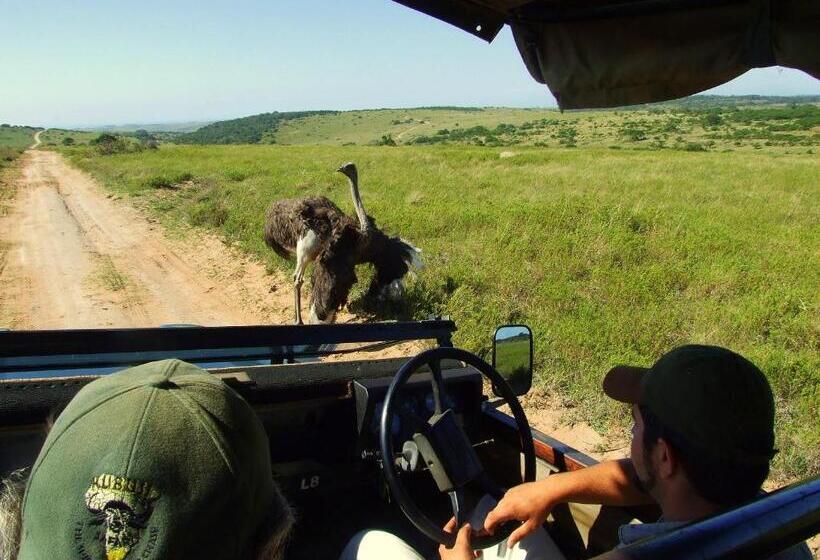 ユースホステル Buccaneers Beach Lodge, Chintsa, South Africa