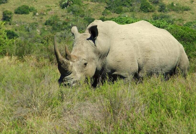 ユースホステル Buccaneers Beach Lodge, Chintsa, South Africa