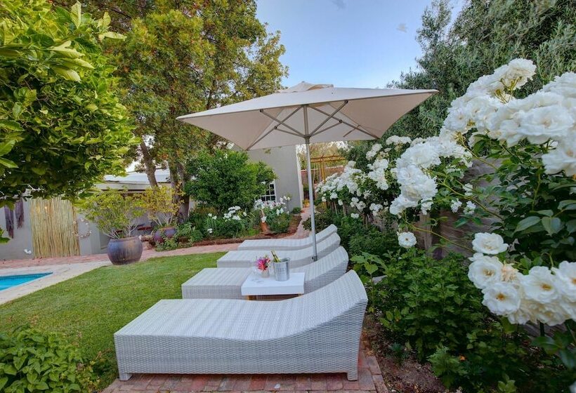 مبيت وإفطار 81 On Church Guest House