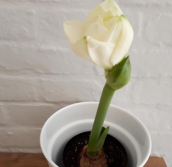 Bed & Breakfast Raw Karoo Guest House