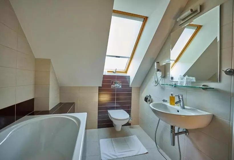 تختخواب و صبحانه Pension & Restaurant Patriot Trnava