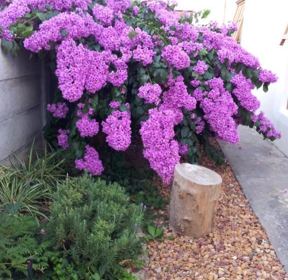 住宿加早餐  Wheatlands Lodge