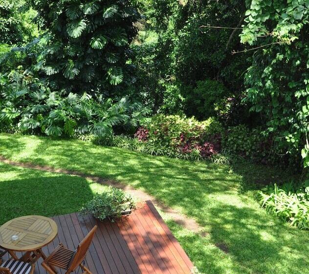 Birds Of Paradise B&b