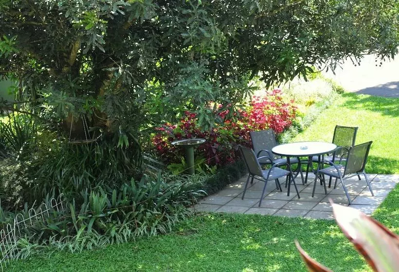 Birds Of Paradise B&b