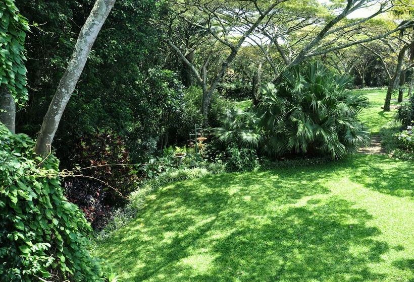 Birds Of Paradise B&b