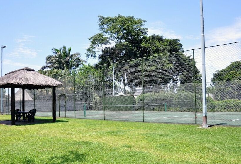 Birds Of Paradise B&b