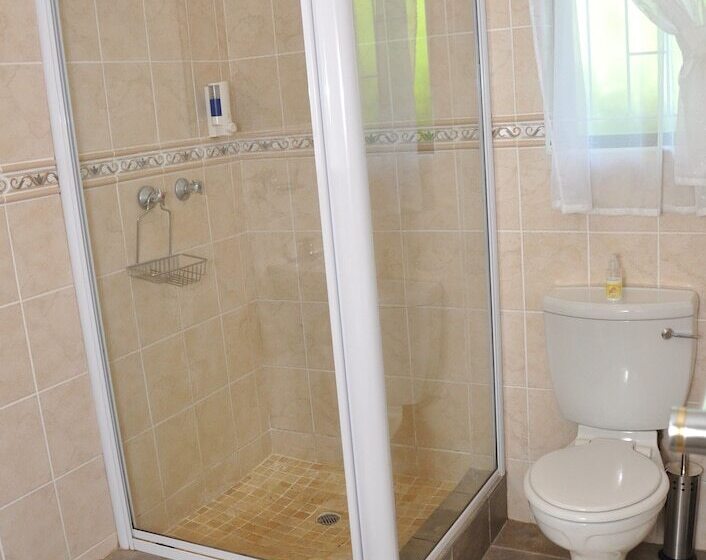 Birds Of Paradise B&b