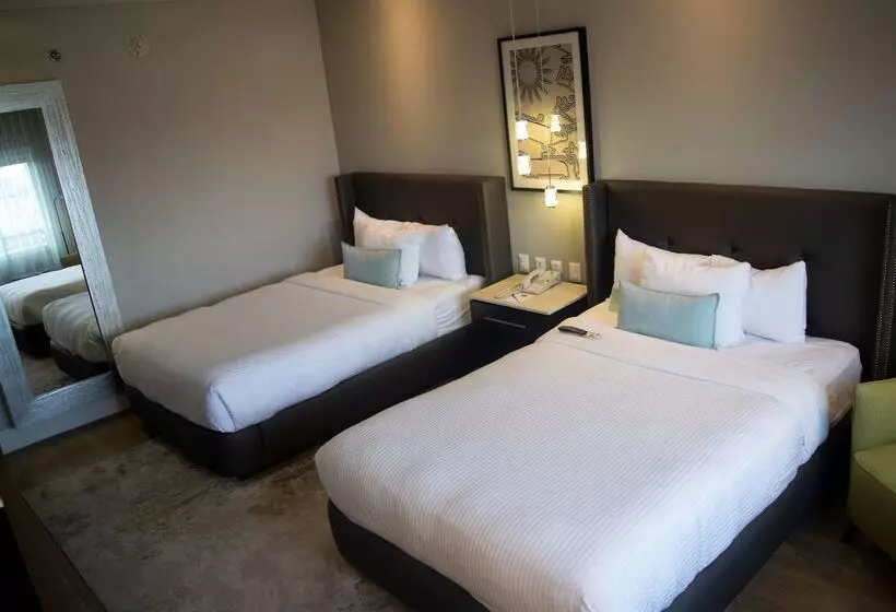 ホテル Lucerna Hermosillo