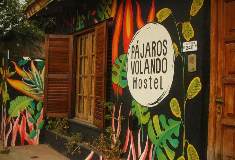 Hotel Pajaros Volando Hostel Merlo San Luis
