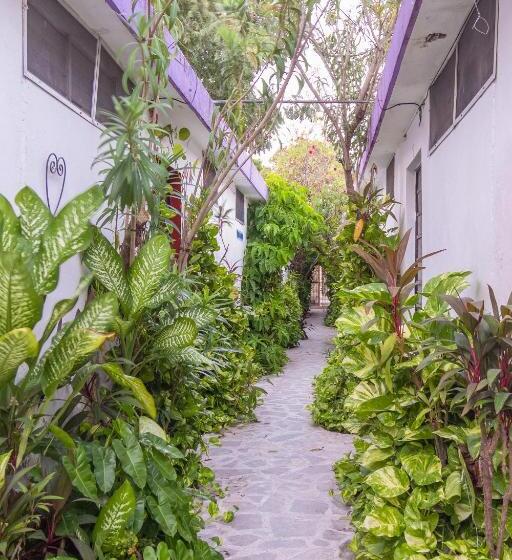 فندق صغير Aventura