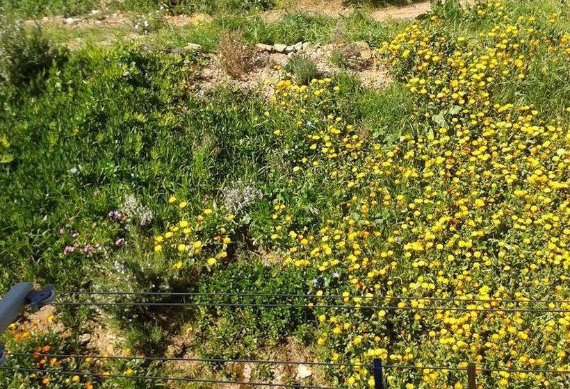 Albergue La Casa del Peregrino
