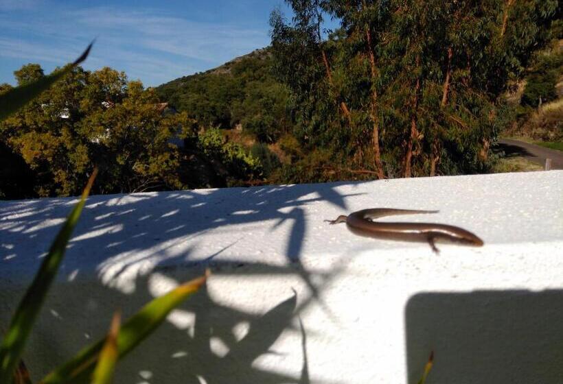 تختخواب و صبحانه Casas Do Contrabando