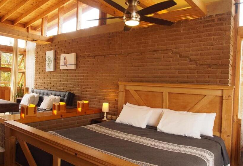 Casa Mayoral B&b Pet Friendly