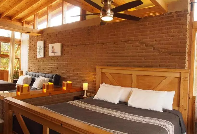 Casa Mayoral B&b Pet Friendly