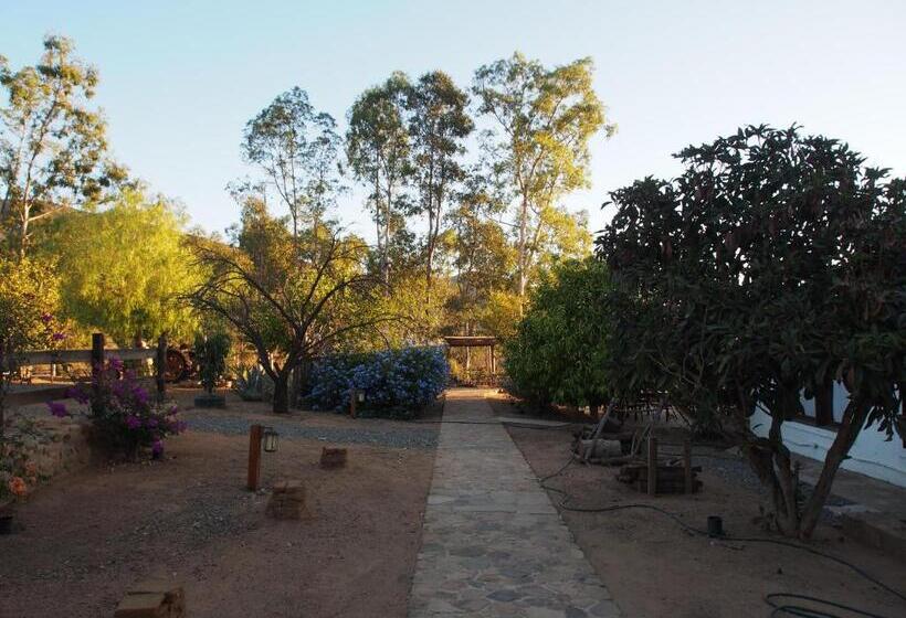 Casa Mayoral B&b Pet Friendly