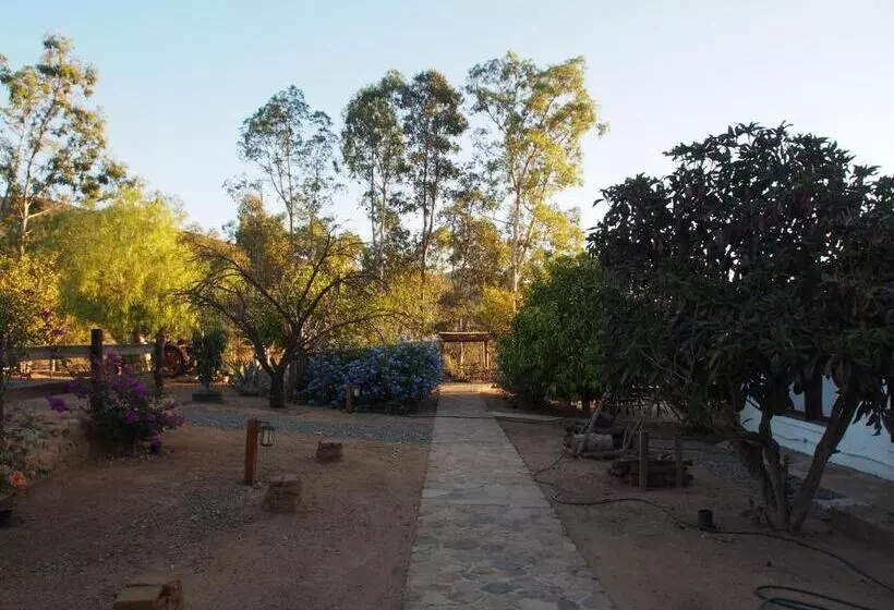 Casa Mayoral B&b Pet Friendly