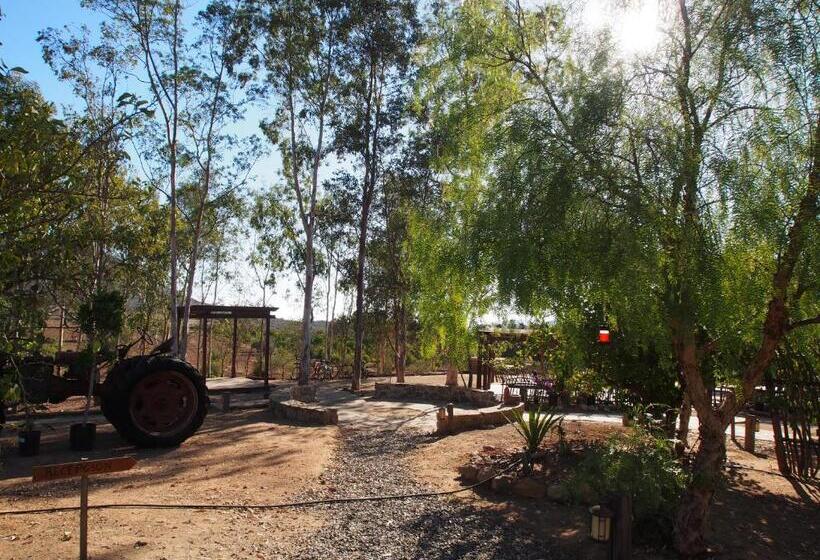 Casa Mayoral B&b Pet Friendly