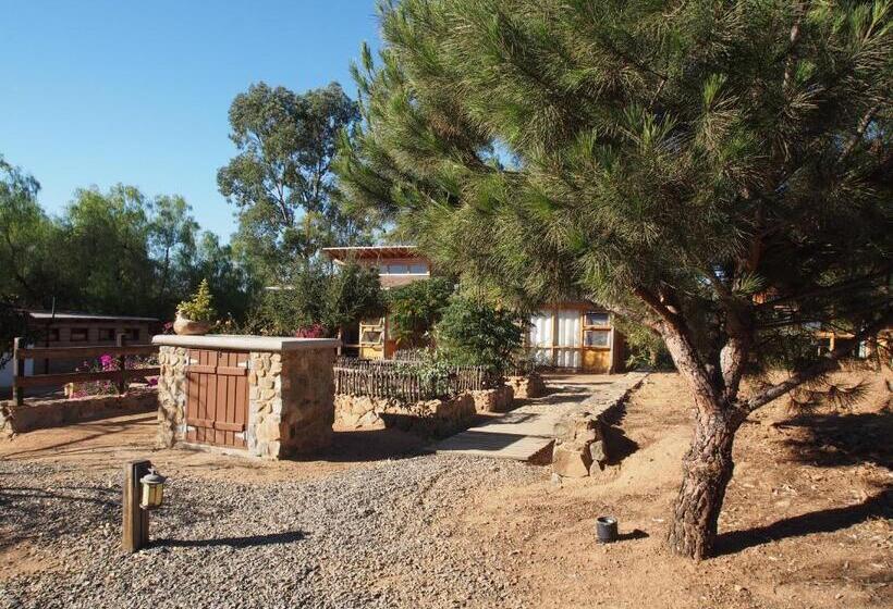 Casa Mayoral B&b Pet Friendly