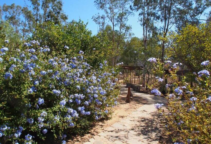 Casa Mayoral B&b Pet Friendly