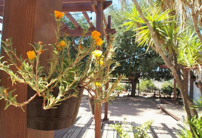 Casa Mayoral B&b Pet Friendly