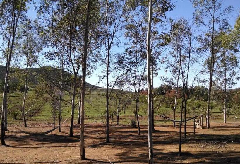 Casa Mayoral B&b Pet Friendly