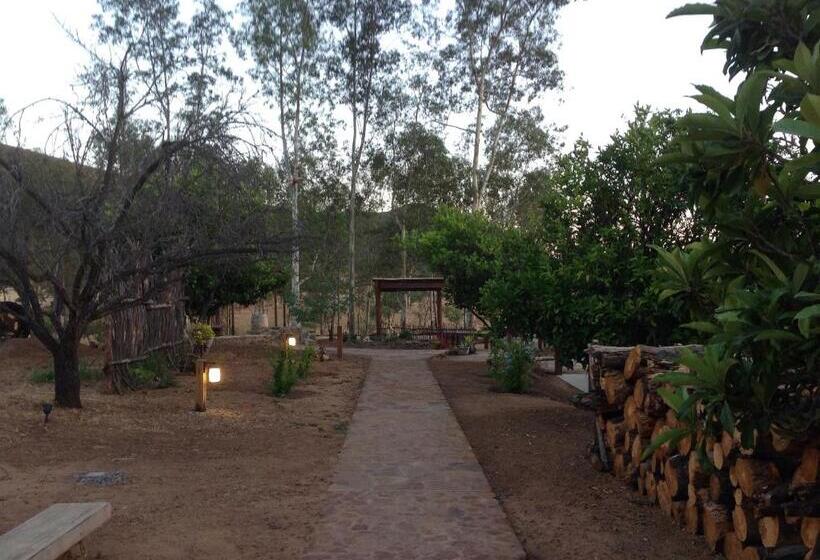 Casa Mayoral B&b Pet Friendly