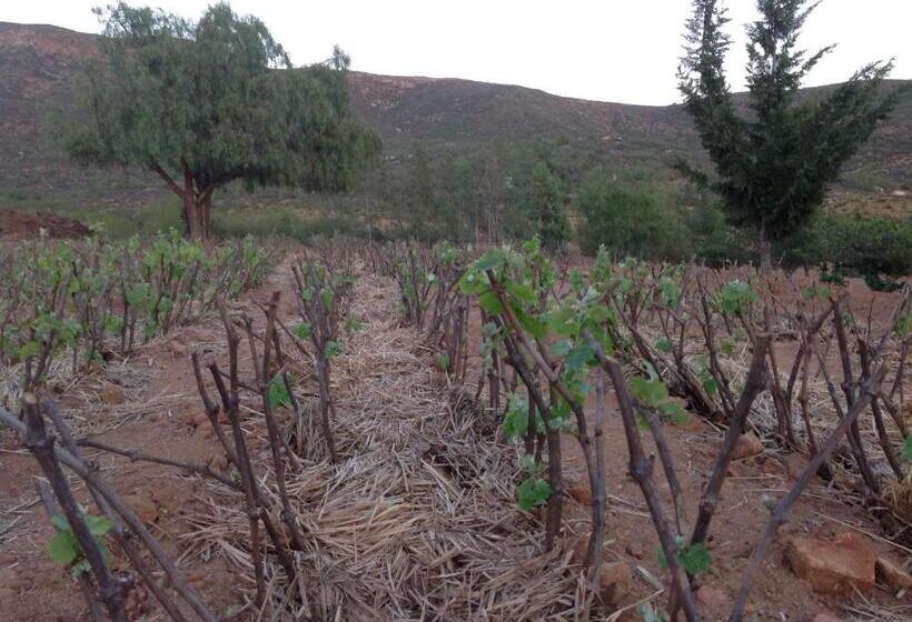 Casa Mayoral B&b Pet Friendly