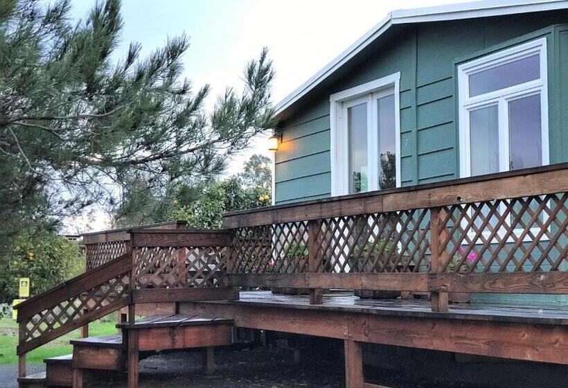 Casa Mayoral B&b Pet Friendly