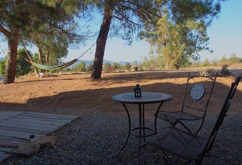 Casa Mayoral B&b Pet Friendly