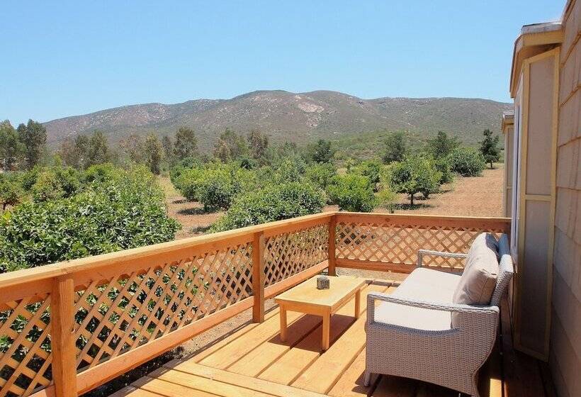 Casa Mayoral B&b Pet Friendly