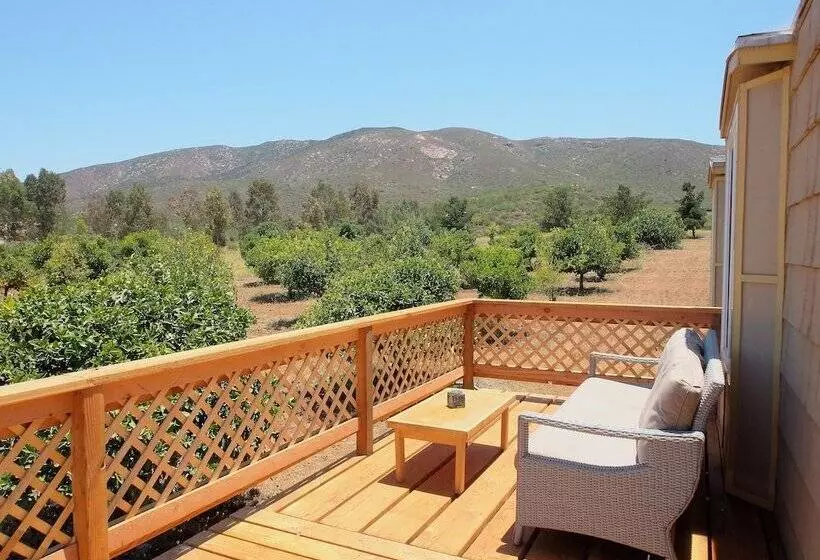 Casa Mayoral B&b Pet Friendly