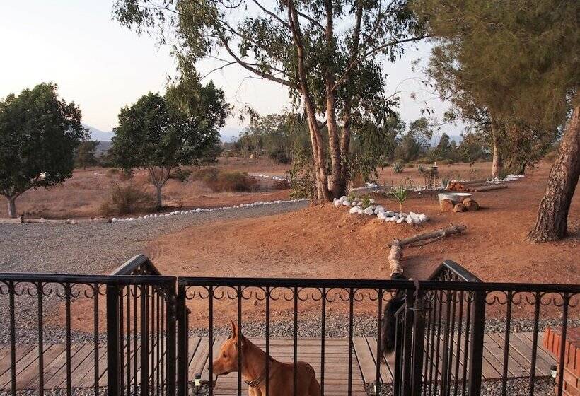 Casa Mayoral B&b Pet Friendly