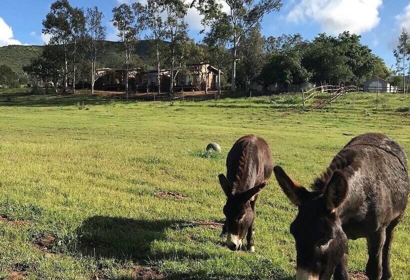 Casa Mayoral B&b Pet Friendly