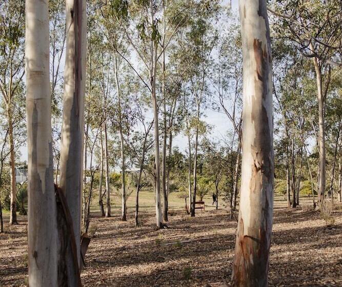 Casa Mayoral B&b Pet Friendly