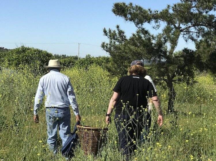 Casa Mayoral B&b Pet Friendly