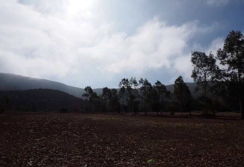 Casa Mayoral B&b Pet Friendly