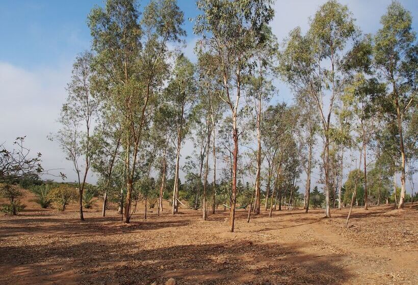 Casa Mayoral B&b Pet Friendly