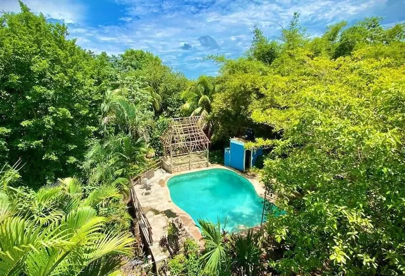 Gardenhotel Macan Ché B&b