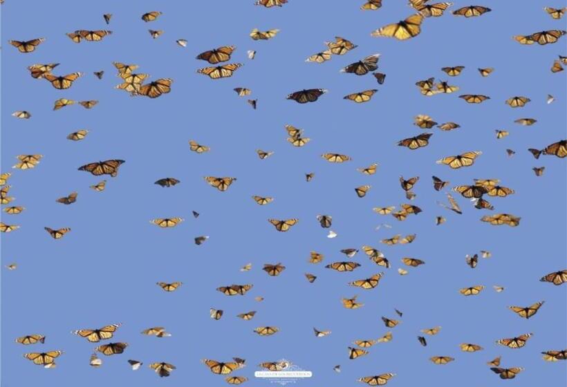 هتل Boutique La Casa De Los Recuerdos