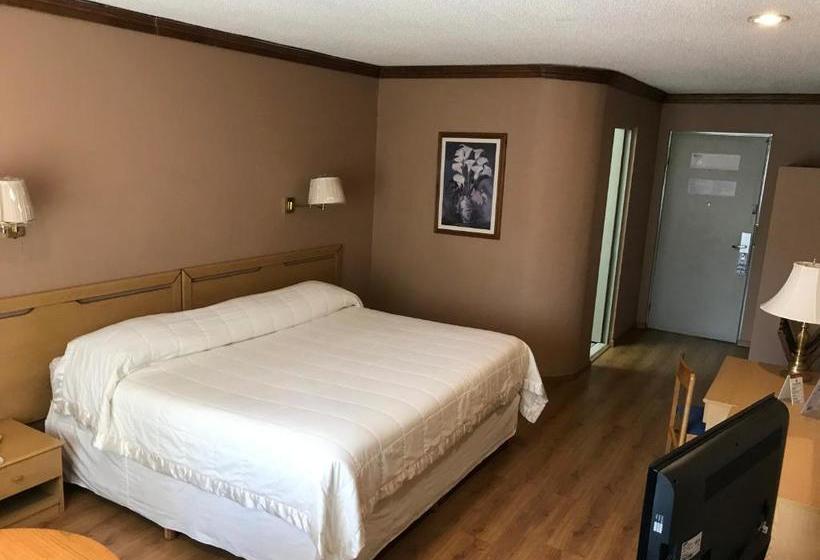 فندق El Camino Real