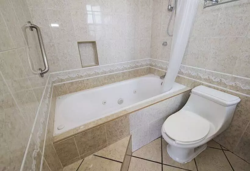 ホテル Suites De Reyes