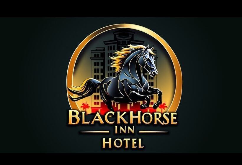 Otel Black Horse Inn