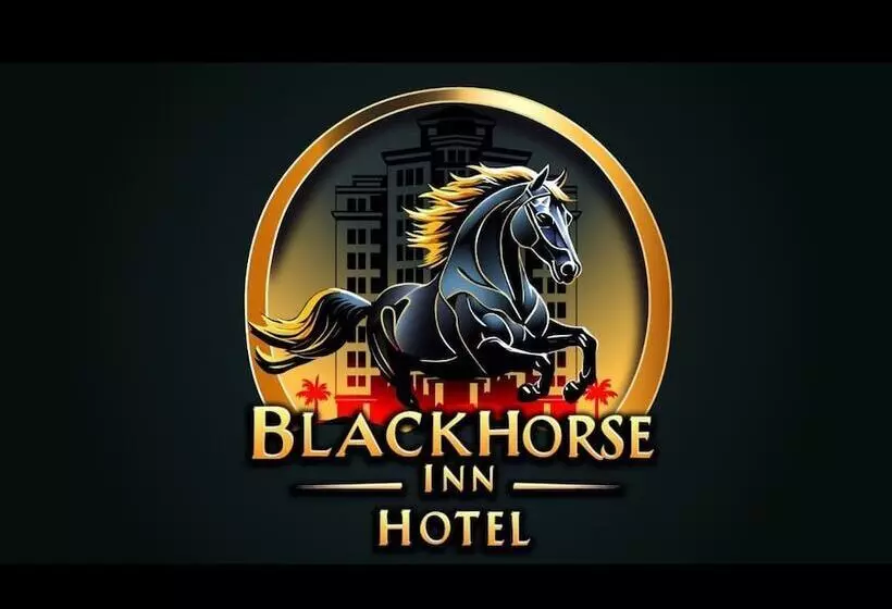 ホテル Black Horse Inn