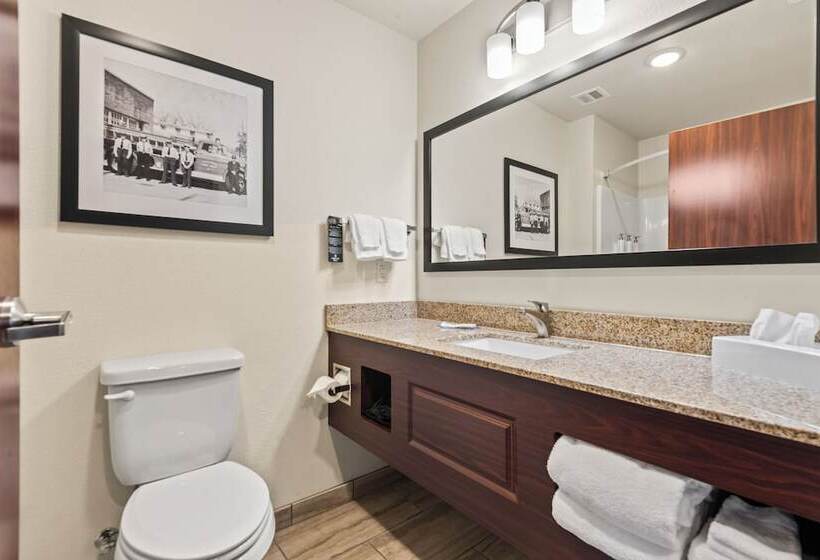 Riverstone Suites By Cobblestone Hotels   Chippewa Falls