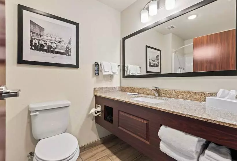 Riverstone Suites By Cobblestone Hotels   Chippewa Falls