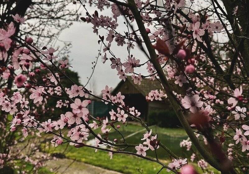Ferienhaus Am Glück