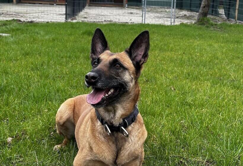 Ferienhaus Am Glück