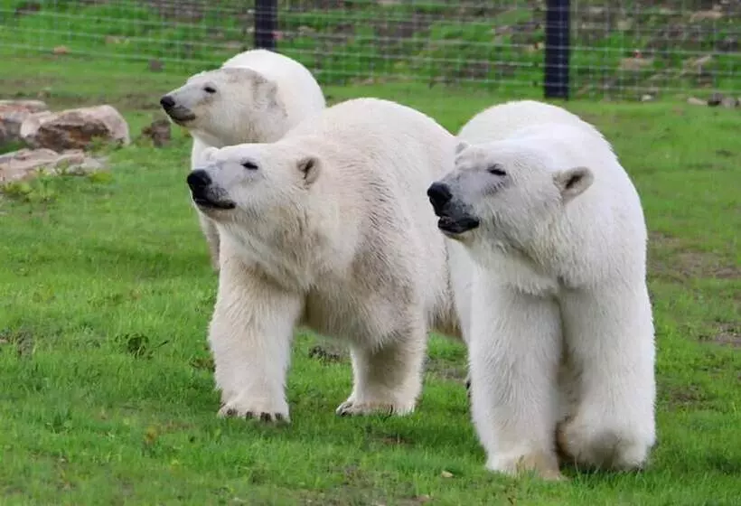 Maaseutuhotelli 1 Bed Barn Alton Towers Chatsworth Polars Peaks