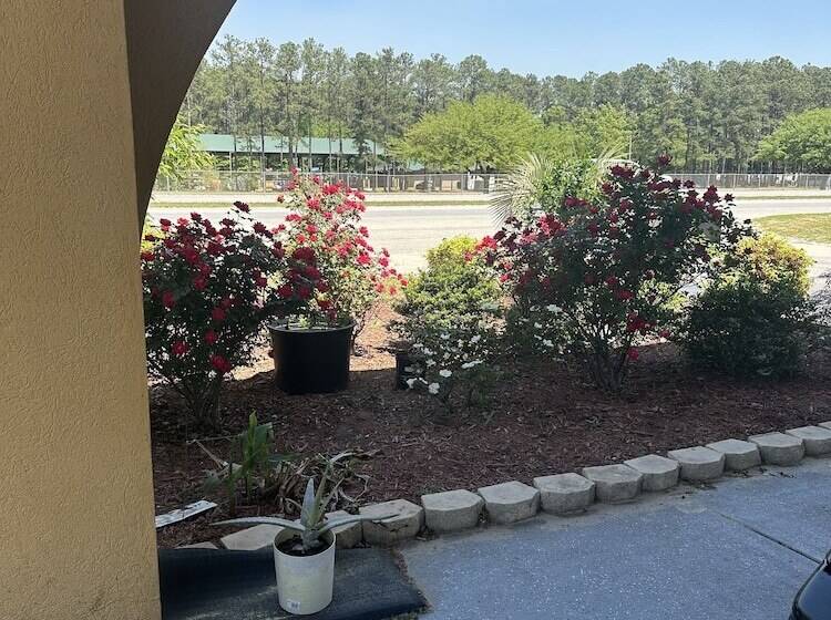 汽车旅馆  American Inn