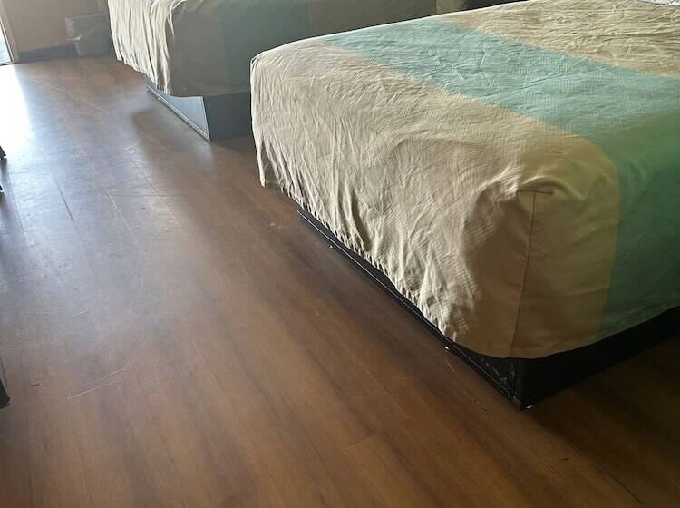 汽车旅馆  American Inn